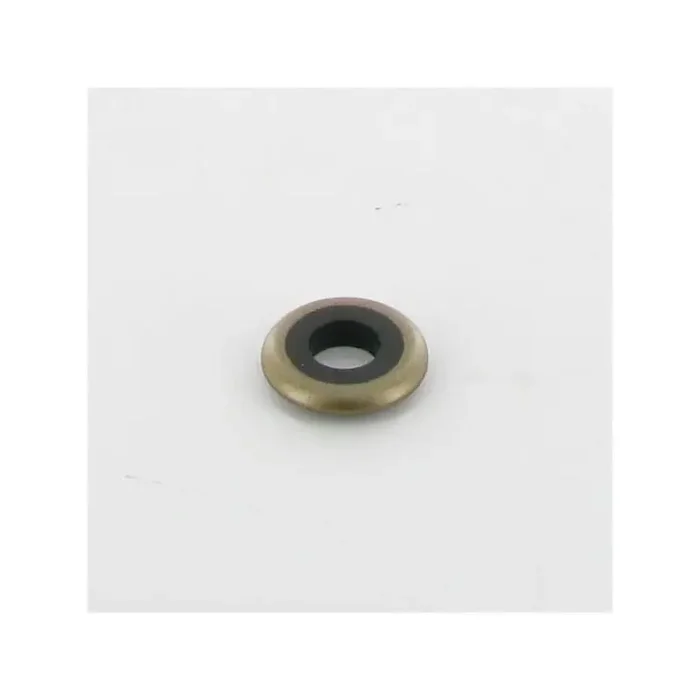Bague BRIGGS ET STRATTON 691766