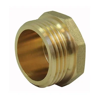 Bouchon à tête hexagonale 1″ mâle