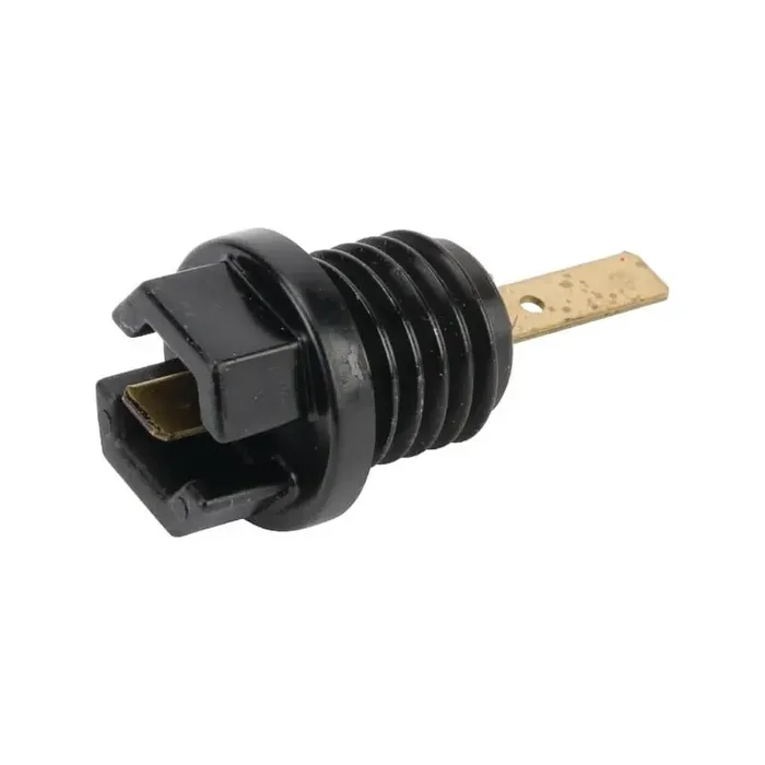 Bouchon d‘huile BRIGGS ET STRATTON 699947