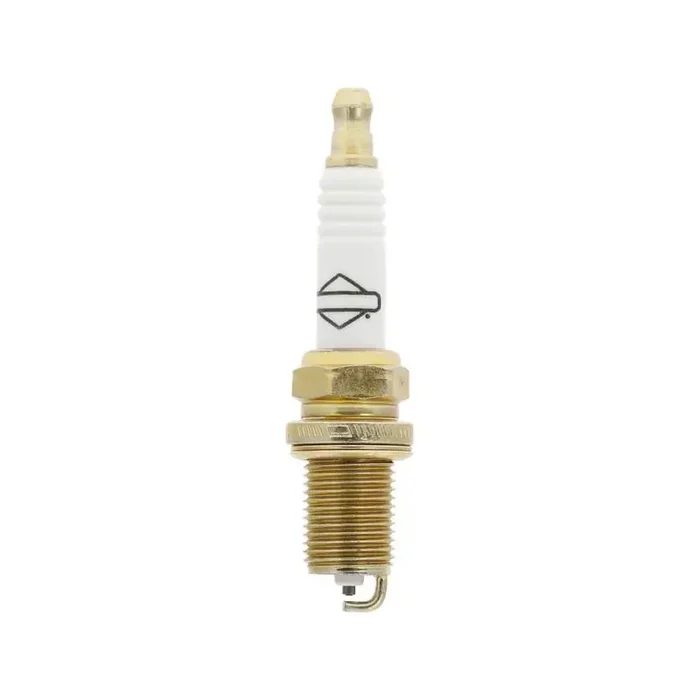 Bougie BRIGGS ET STRATTON 793541