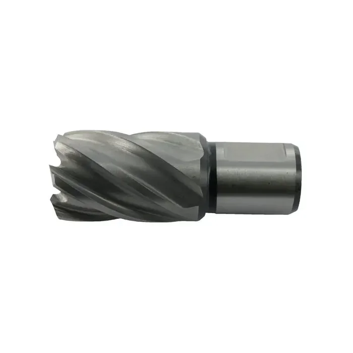 Caroteur 45x30mm HIKOKI 754436