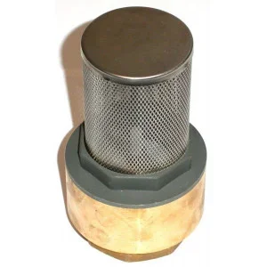 Clapet anti-retour en laiton avec crépine inox