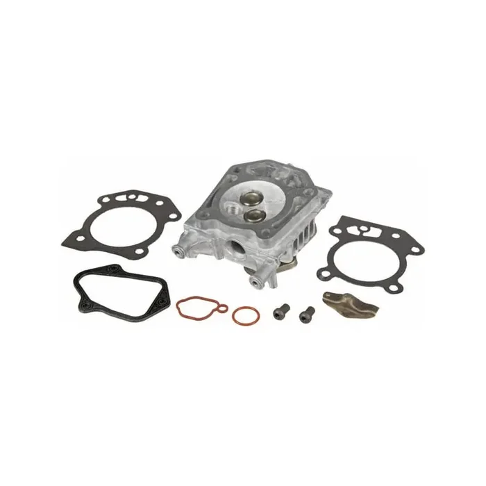Culasse BRIGGS ET STRATTON 597561