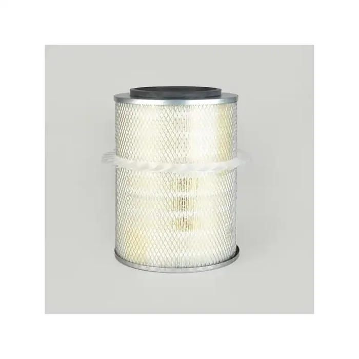 Filtre à air DONALDSON P776497