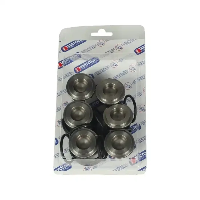 Jeu de soupapes BERTOLINI 359870973