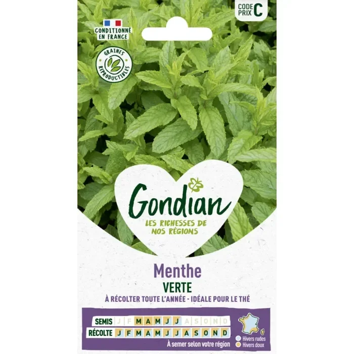 Menthe verte France Elevage Gondian