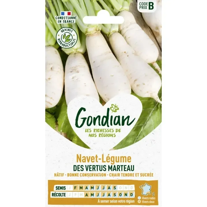 Navet-légume des vertus marteau France Elevage Gondian