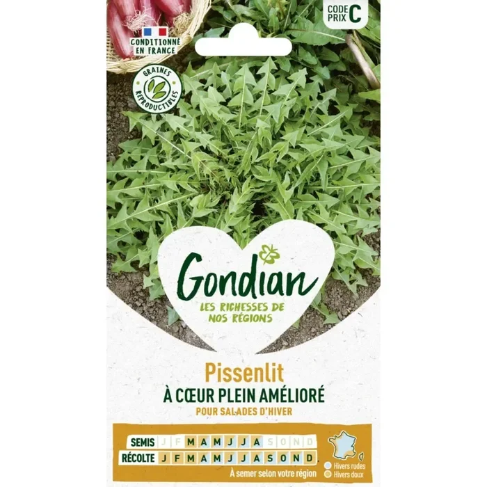 Pissenlit à coeur plein amélioré France Elevage Gondian