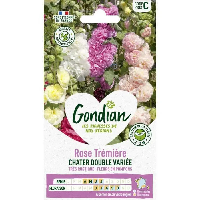 Rose trémière chater double variée France Elevage Gondian