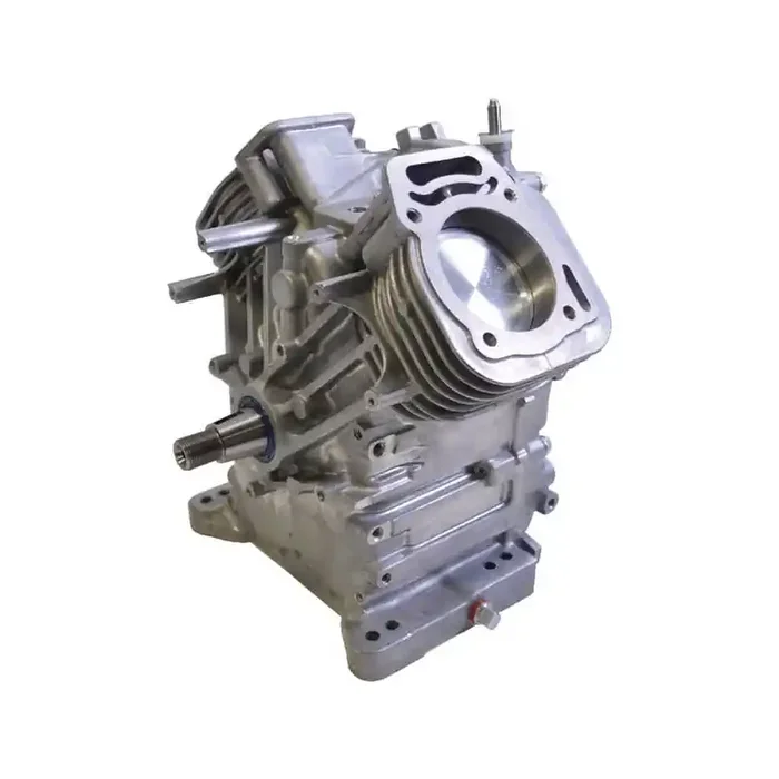 Shortblock BRIGGS ET STRATTON 496238