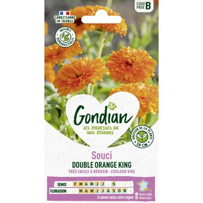 Souci double orange king France Elevage Gondian