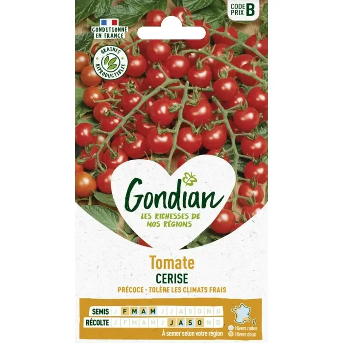 Tomate cerise France Elevage Gondian